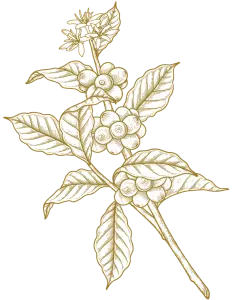 Brown floral decoration clipart