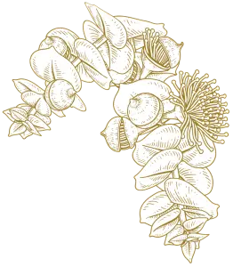Brown floral decoration clipart