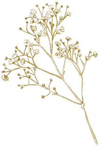 Brown floral decoration clipart
